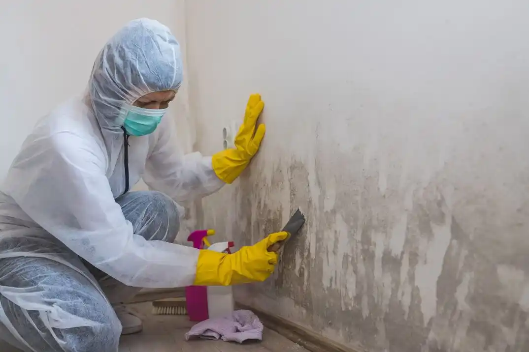 water damage restoration service Trouville
